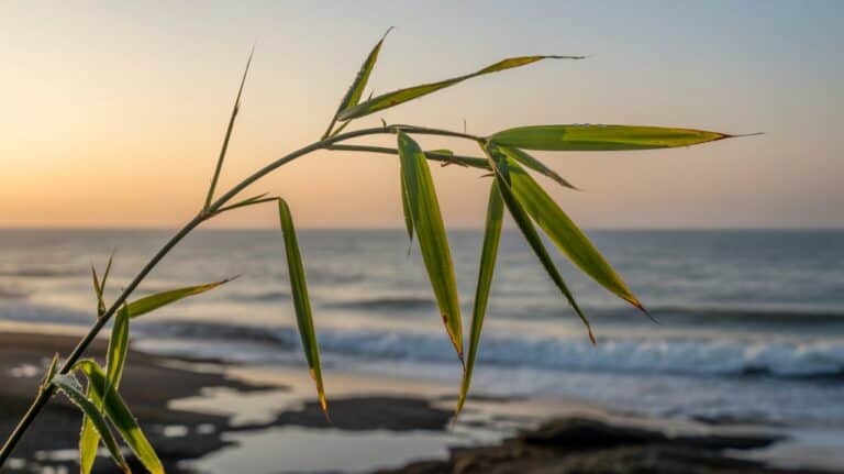 flexibility in adversity management